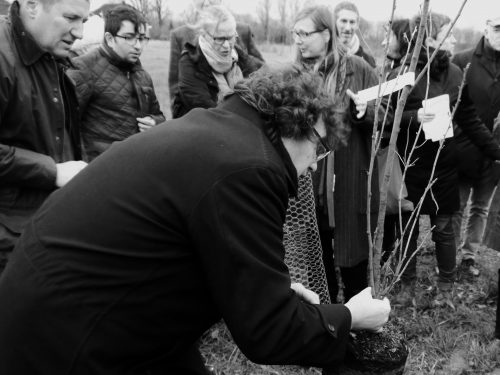 Oswald Egger pflanzt einen Maulbeerbaum für Oskar Pastior. Hombroich, 2. Dezember 2018.